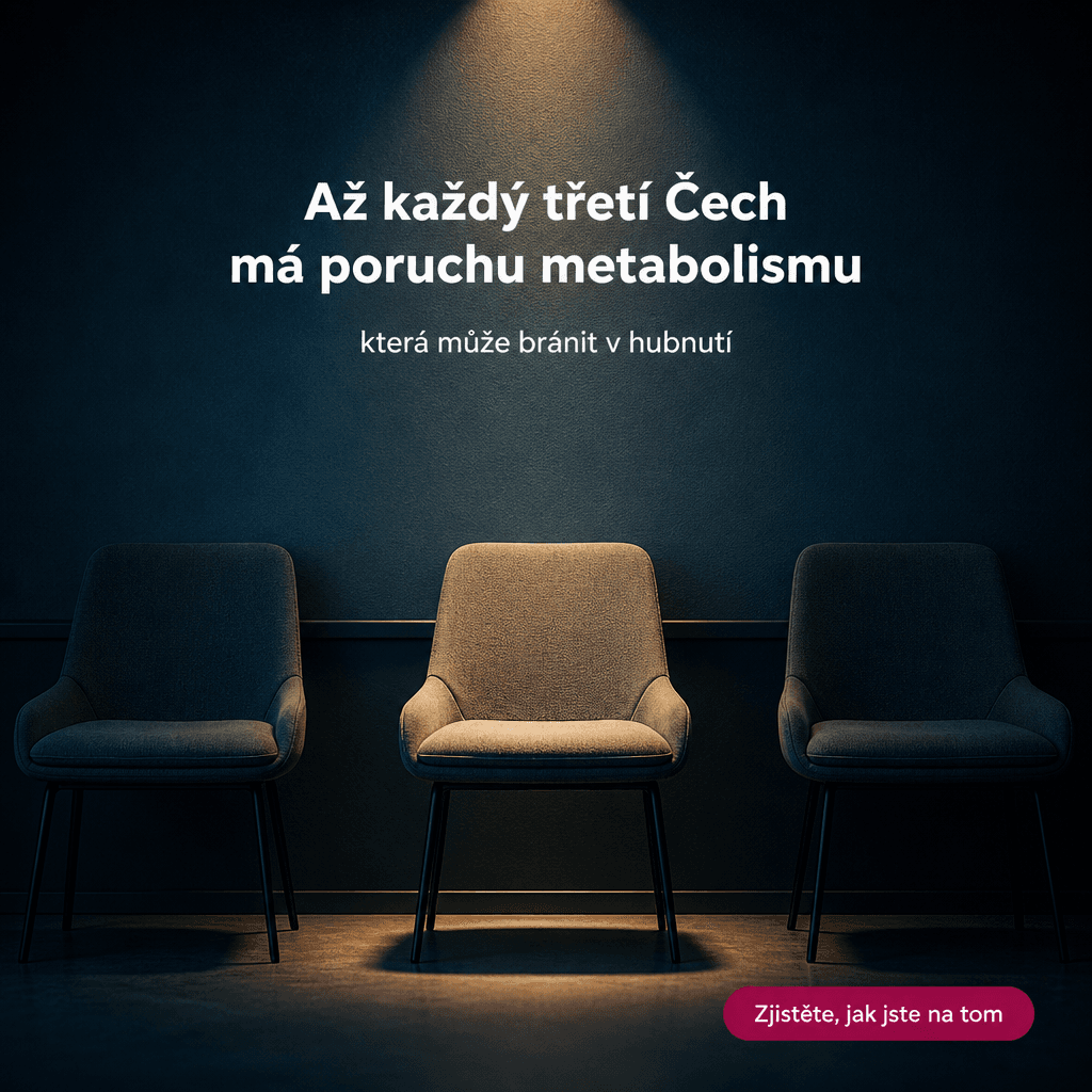 Ukázka reklamy vygenerované metametou