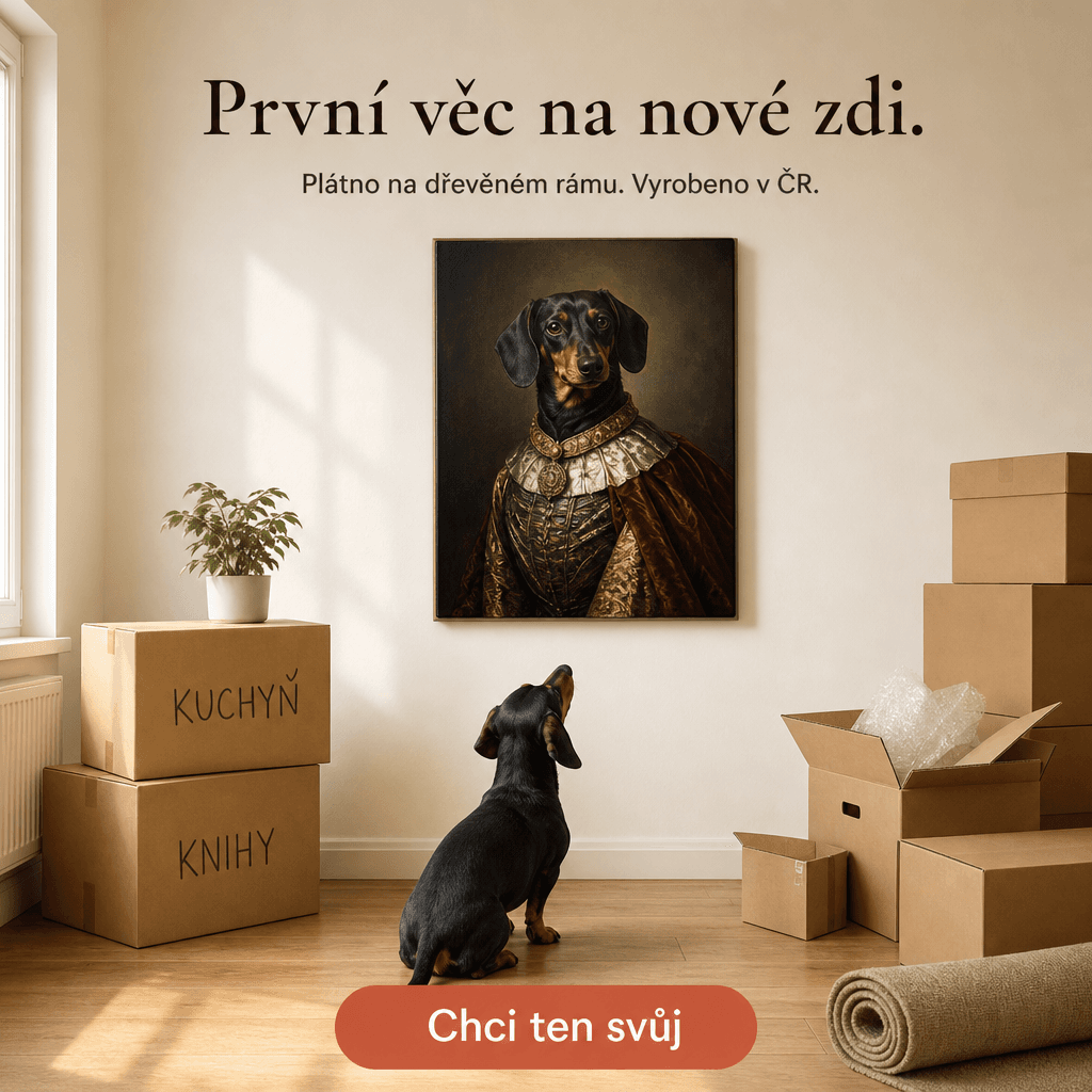 Ukázka reklamy vygenerované metametou